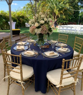 WhatsApp Image 2024-10-06 at 09.53.41